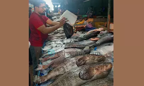 വമ്പന് മത്സ്യങ്ങളുടെ കലവറയായി തലപ്പാടി വമ്പന് മത്സ്യങ്ങളുടെ കലവറയായി തലപ്പാടി
