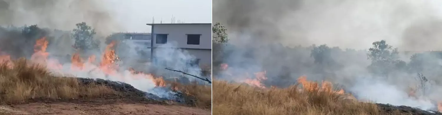 ബേള ധര്‍ബ്ബത്തടുക്ക പെട്രോള്‍പമ്പിന് സമീപം തീപിടിത്തം; ഒഴിവായത് വന്‍ ദുരന്തം