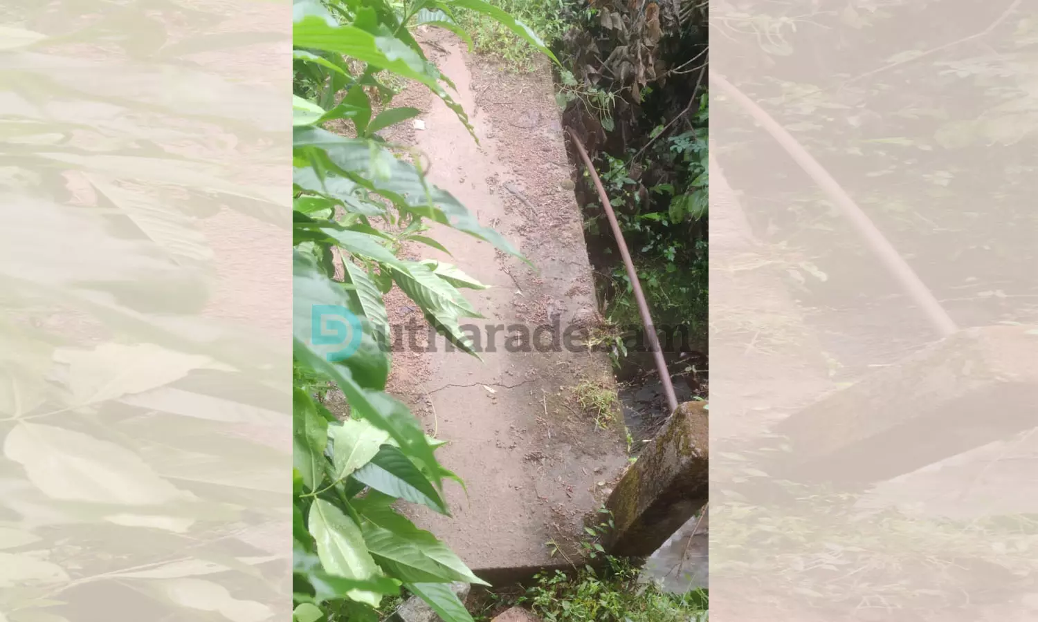 തകര്ന്ന നെല്ലിക്കുഞ്ച നടപ്പാലം എന്ന് നന്നാക്കും; നാട് കാത്തിരിക്കുന്നു തകര്ന്ന നെല്ലിക്കുഞ്ച നടപ്പാലം എന്ന് നന്നാക്കും; നാട് കാത്തിരിക്കുന്നു