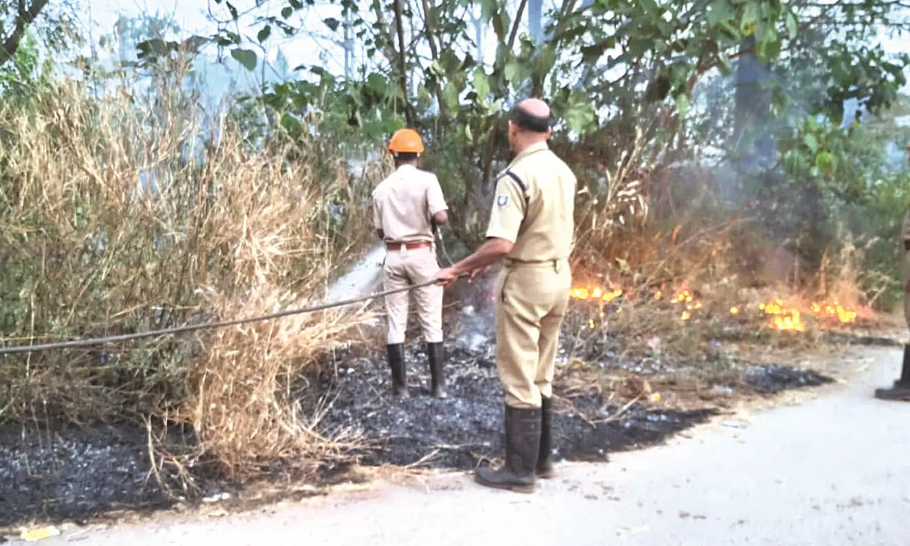 മൂന്നിടങ്ങളില്‍ തീപിടിത്തം; പെരിയാട്ടടുക്കത്ത്  ഏക്കര്‍ കണക്കിന് സ്ഥലം കത്തിനശിച്ചു