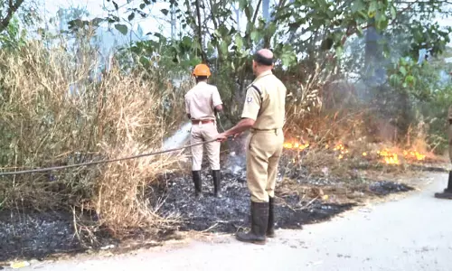 മൂന്നിടങ്ങളില് തീപിടിത്തം; പെരിയാട്ടടുക്കത്ത് ഏക്കര് കണക്കിന് സ്ഥലം കത്തിനശിച്ചു മൂന്നിടങ്ങളില് തീപിടിത്തം; പെരിയാട്ടടുക്കത്ത് ഏക്കര് കണക്കിന് സ്ഥലം കത്തിനശിച്ചു