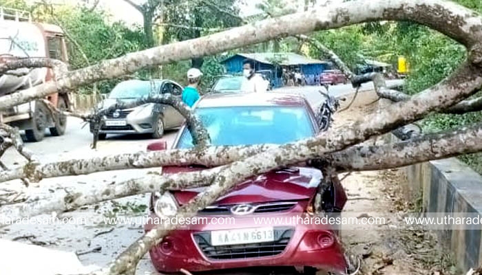 കര്‍ണാടക പുത്തൂരില്‍ കാര്‍ നിര്‍ത്തി ഇറങ്ങിയപ്പോള്‍ മരം വീണ് സോഫ്റ്റ് വെയര്‍ എഞ്ചിനീയര്‍ മരിച്ചു; ഭാര്യയും രണ്ട് കുട്ടികളും പരിക്കേല്‍ക്കാതെ രക്ഷപ്പെട്ടു