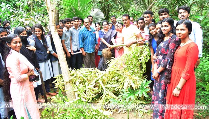 കര്‍ഷക ശാസ്ത്രജ്ഞന്‍ ദിവാകരന്റെ തോട്ടത്തില്‍ വിളഞ്ഞത് അഞ്ച് ക്വിന്റല്‍ ചേന