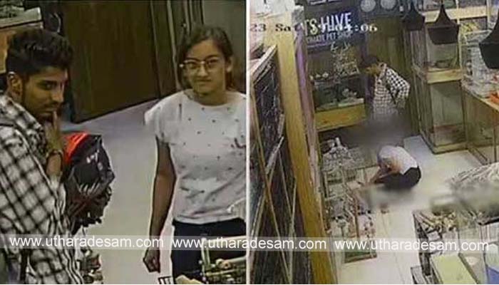 കൊച്ചിയിലെ പെറ്റ് ഷോപ്പില് നിന്ന് വില കൂടിയ നായ്ക്കുട്ടിയെ മോഷ്ടിച്ച് കടന്ന രണ്ട് എഞ്ചിനീയറിംഗ് വിദ്യാര്ഥികള് ഉഡുപ്പിയില് പിടിയില് കൊച്ചിയിലെ പെറ്റ് ഷോപ്പില് നിന്ന് വില കൂടിയ നായ്ക്കുട്ടിയെ മോഷ്ടിച്ച് കടന്ന രണ്ട് എഞ്ചിനീയറിംഗ് വിദ്യാര്ഥികള് ഉഡുപ്പിയില് പിടിയില്