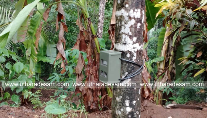 പനത്തടിയില് പുലി ഇറങ്ങിയതായി സംശയം; വനംവകുപ്പ് ക്യാമറ സ്ഥാപിച്ചു പനത്തടിയില് പുലി ഇറങ്ങിയതായി സംശയം; വനംവകുപ്പ് ക്യാമറ സ്ഥാപിച്ചു
