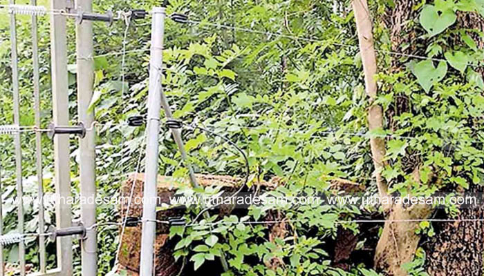 കൃഷി സംരക്ഷണത്തിന് സൗരോര്‍ജ്ജ വേലിയൊരുക്കി കര്‍ഷകര്‍; സര്‍ക്കാര്‍ സഹായം നല്‍കണമെന്ന് ആവശ്യം