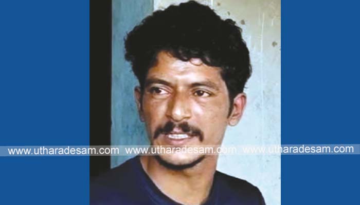ക്വാര്‍ട്ടേഴ്‌സ് വളപ്പില്‍ കഞ്ചാവ് ചെടി നട്ടുവളര്‍ത്തി; യുവാവ് അറസ്റ്റില്‍