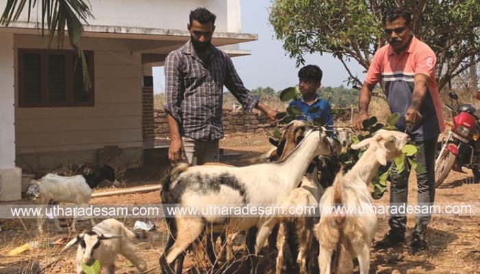 പ്രധാന പ്രതിയെയും സ്ത്രീയെയും കണ്ടെത്താന്‍ വലവിരിച്ച് കുമ്പള പൊലീസ്